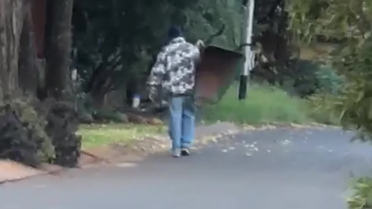 Day in the life