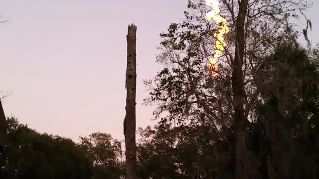 SpaceX Falcon Heavy USSF67 Lift Off