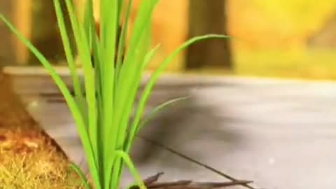 Feel this video 😍//natural beauty