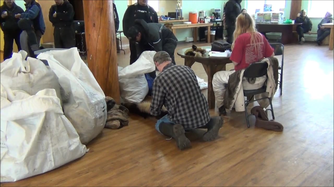 Fur Buying in Grayling Alaska with yukonjeff Part II