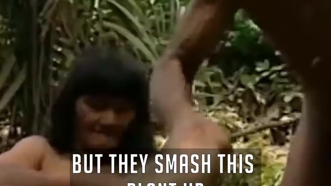 YANOMAMI TRIBE FISHES WITH POISON