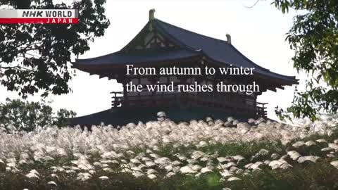 From autumn to winter the wind rushes through - The 72 Pentads of Yamato