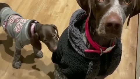 Hey Mom. You have a string or something hanging off of your shirt. I'll get it.