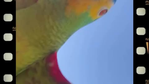 Fun, joy, freedom, and love, all in one scene.