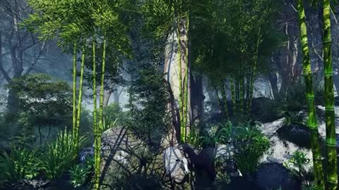 Lumion 11 cinamatic Animation || Forest ||