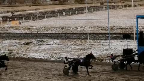 horse racing in winter
