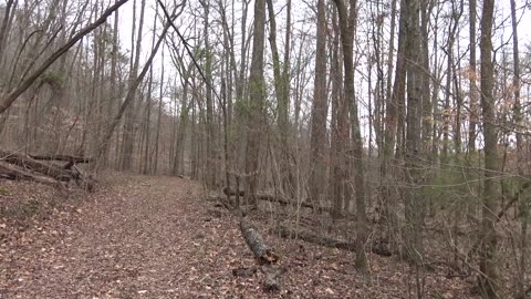 Skyuka Springs Hike
