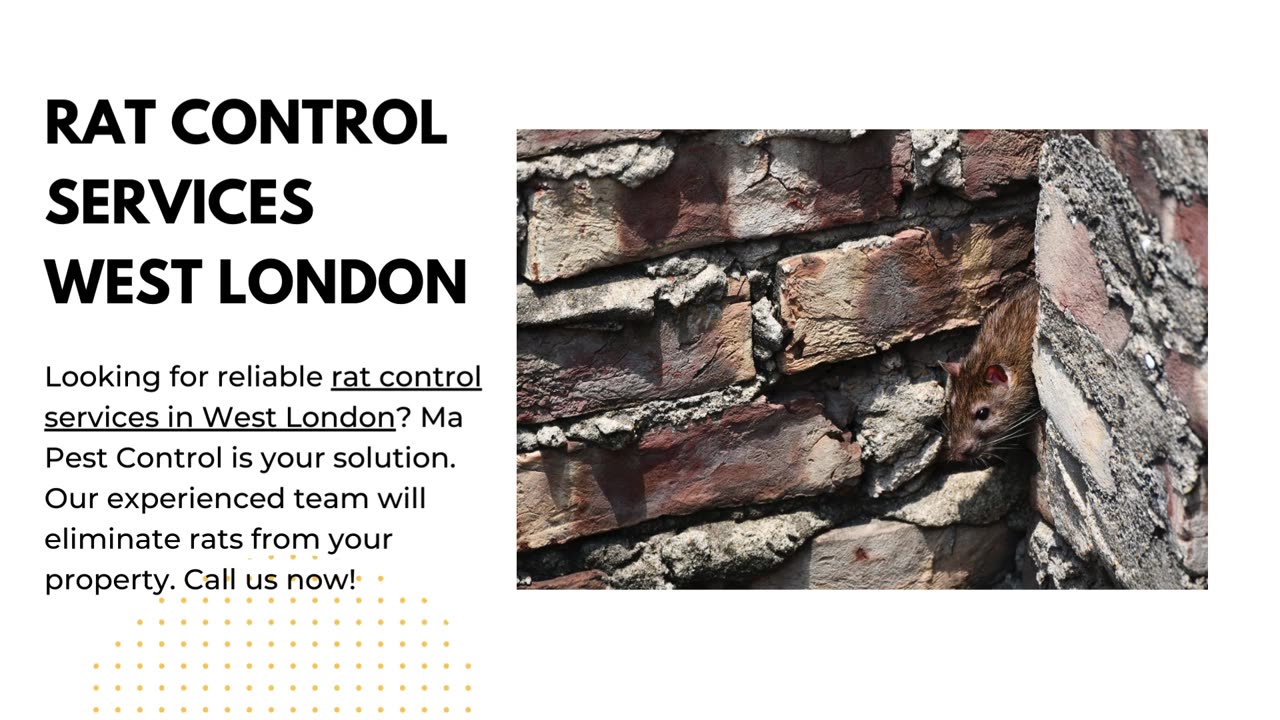 Rat Control Services West London