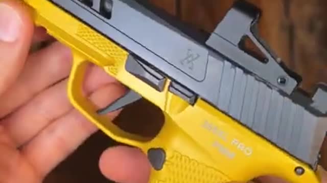 Epic SIG P365 Build #shorts #viral #short