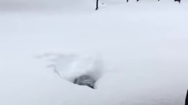 Snow happens