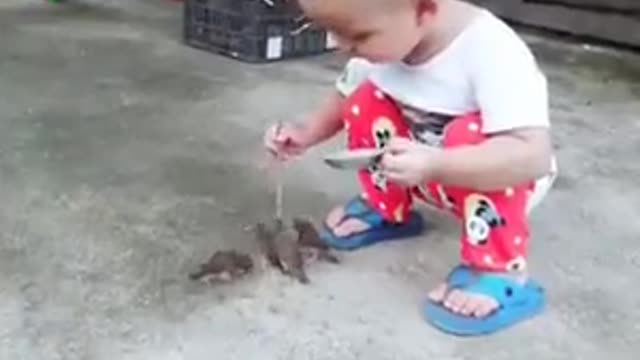 A baby feeding birds in turns just like adults do