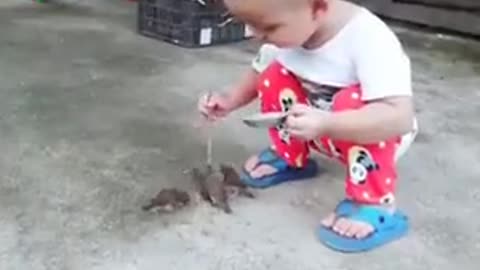 A baby feeding birds in turns just like adults do