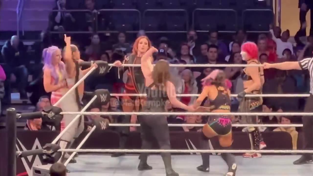 5 vs 5 Women’s Tag Team Match - WWE Live Event