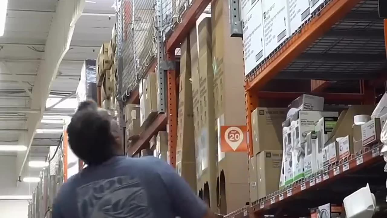 Funny Viral, Probably#2