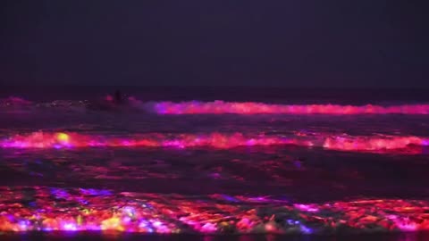 Red fluorescent sea" is happy