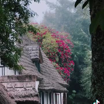 isn't this place beautiful