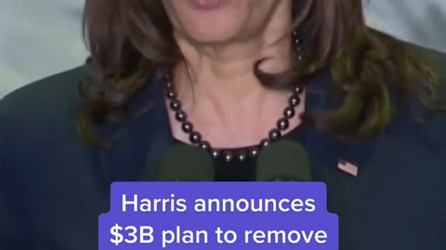 Harris announces $3B plan to remove lead pipes + paint