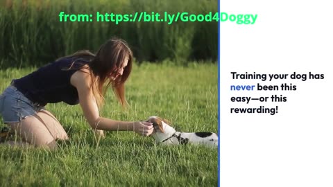Dental Sticks for Dogs That Vets Can't Stop Recommending!