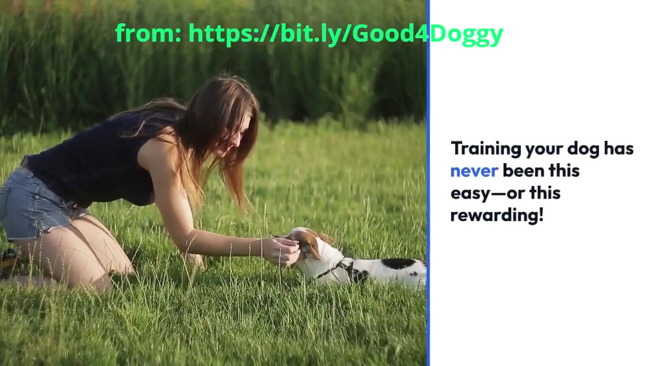 Dental Sticks for Dogs That Vets Can't Stop Recommending!