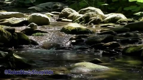 2 Hours of Flowing Creek / River WITHOUT Birds & other wildlife