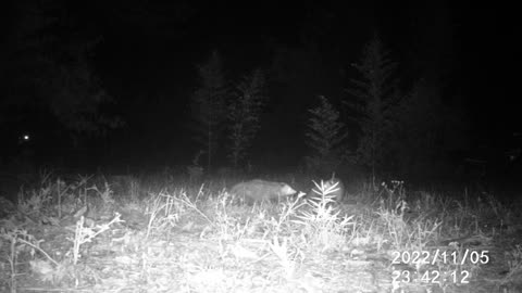 POSSUM