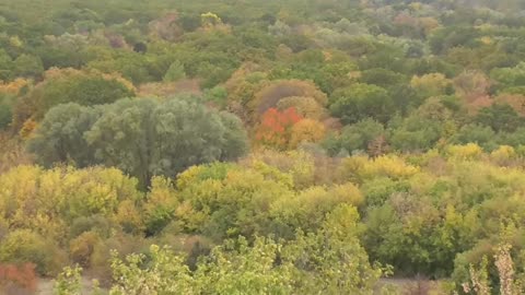 Chesmensky Park (Voronezh region)