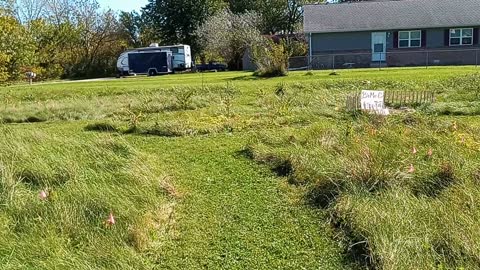 Let's talk about Pathways through the Food Forest