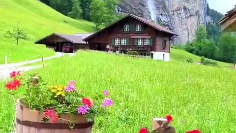 Beautiful nature