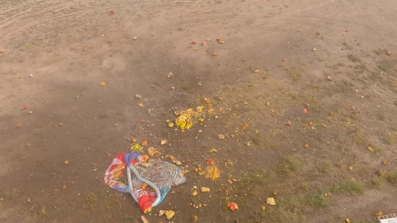 Worland Wyoming Giant Pumpkin Drop 2020