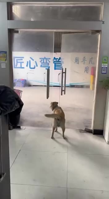 Wanting the fireworks without the noise