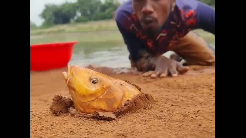 Amaging fish catching very hard