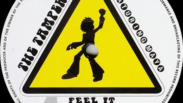 The Tamperer - Feel It