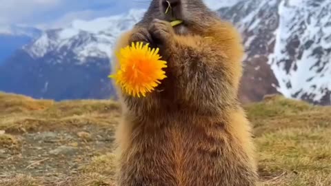 🥰🥰