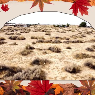 Halloween Magic: Turn Pumpkin Patches into Property Patches! - Own Land & homestead - Ancestry Lands