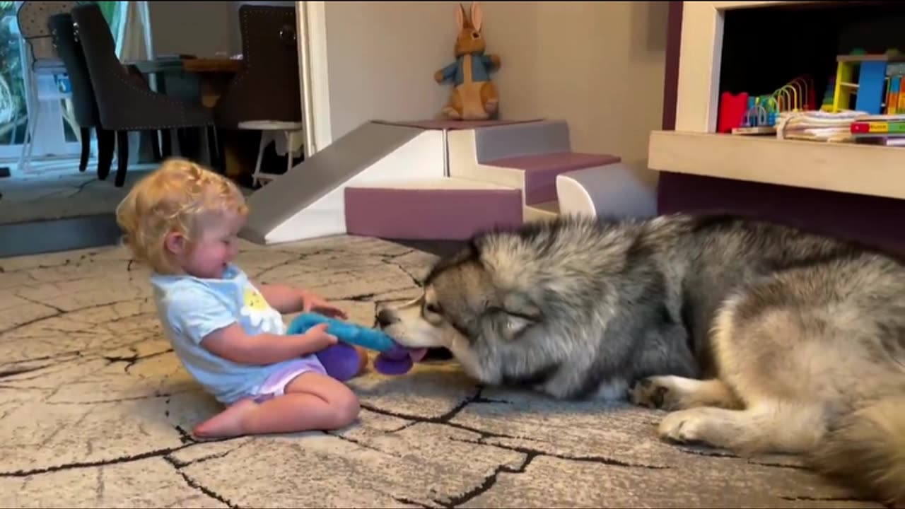 Part C - Baby girl & Puppy