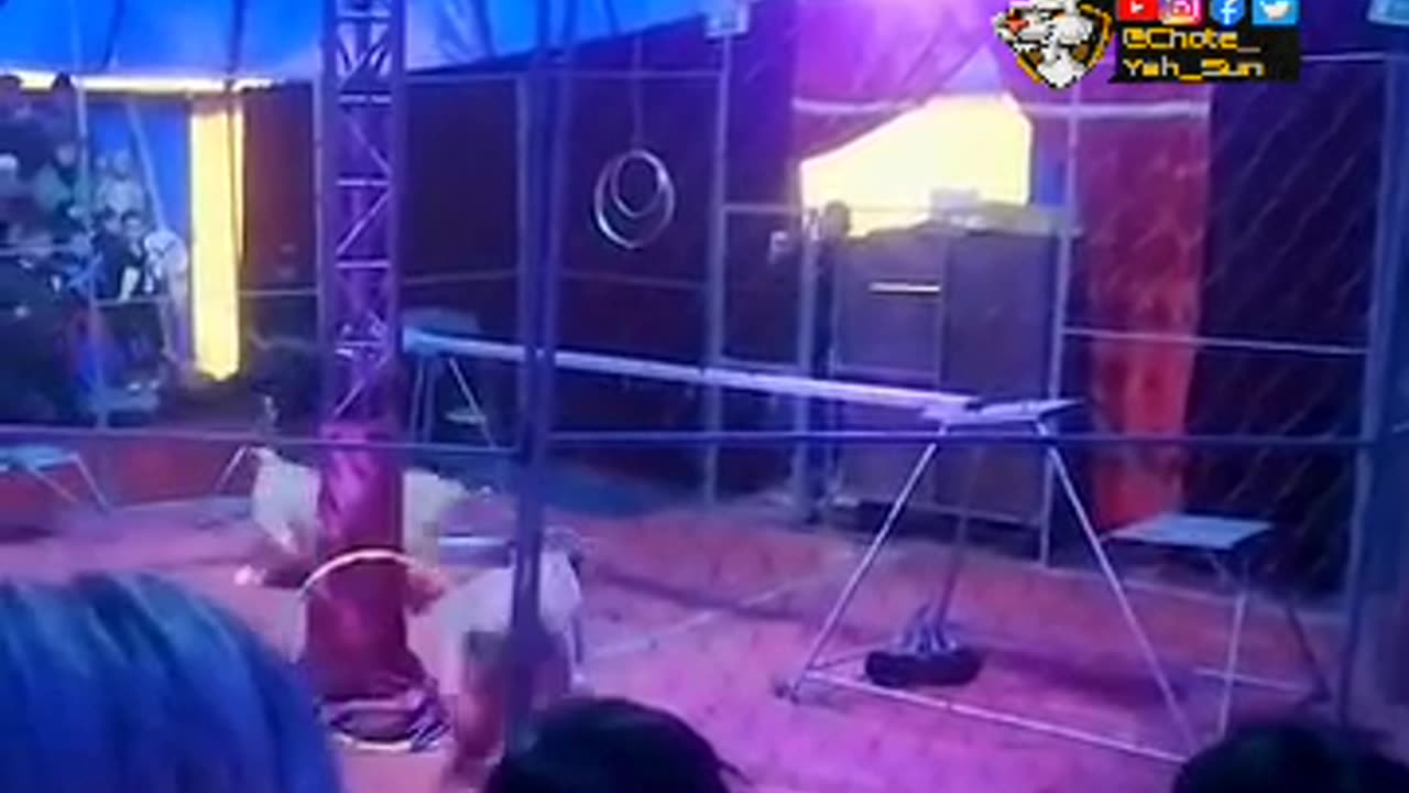 Dont Miss🙀 | Lion Attacked Man In Circus 🙀🔥🔥🔥