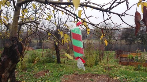 5-Minute DIY Candy Decoration for the Garden