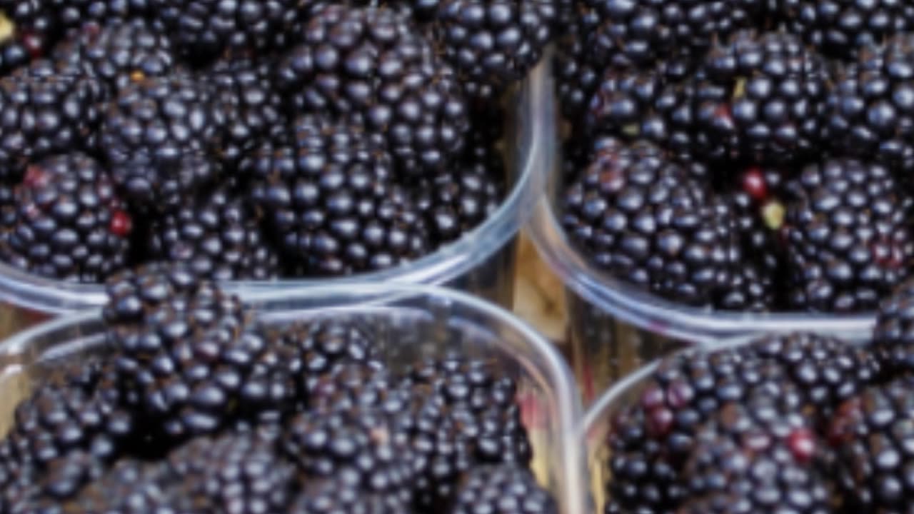 ***Honeyberry: The Superfruit Unveiled***