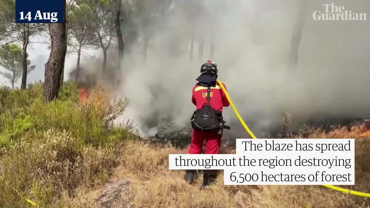 Wildfires tear through forests in Spain's south-eastern Valencia region