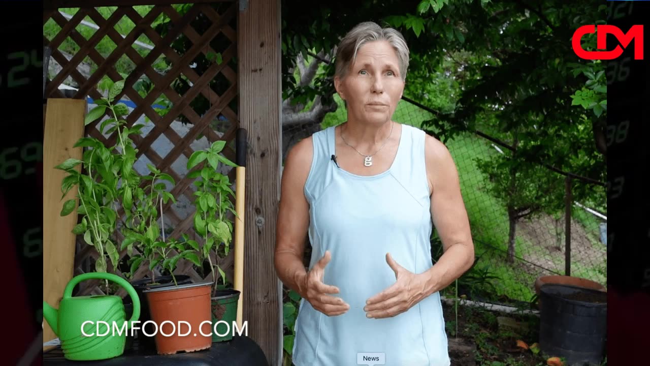 American Conversations - Marjorie Wildcraft - Food Security 2/10/24