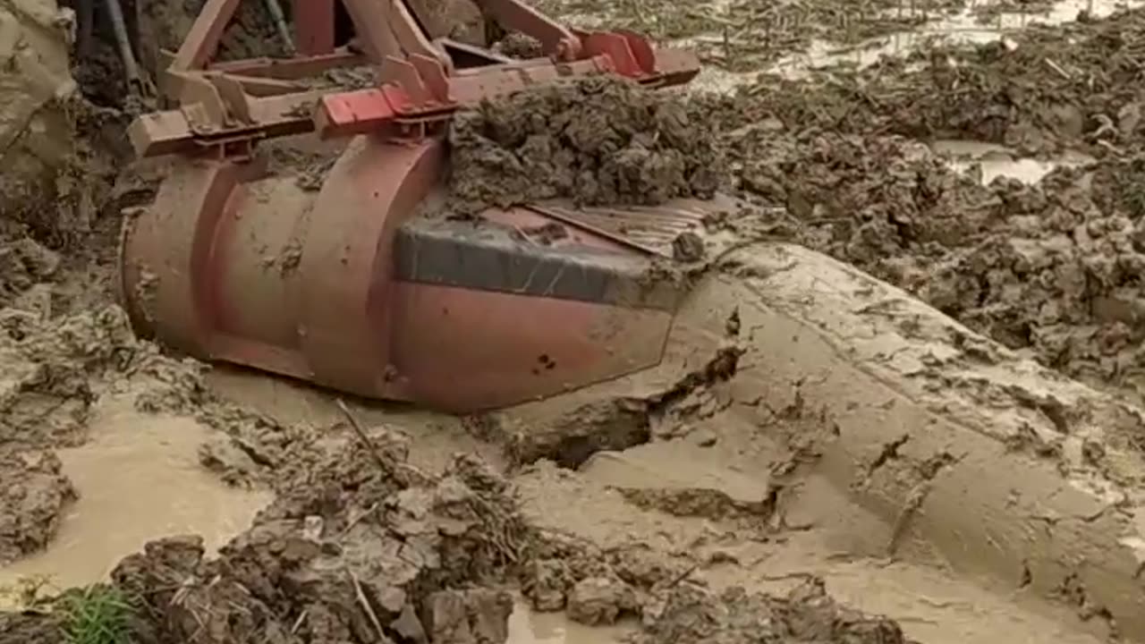 CRC vídeos curiosos