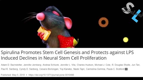 mel gibson stem cells