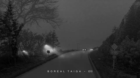 Boreal Taiga - E10 Til Gullesfjord