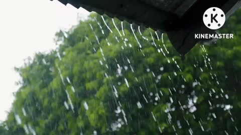 Relaxing rain sounds that helps you sleep better Insomnia PTSD