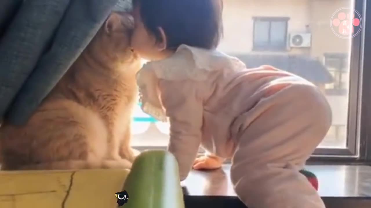 Happy and Funny Pet Video (Suppress Laughter）