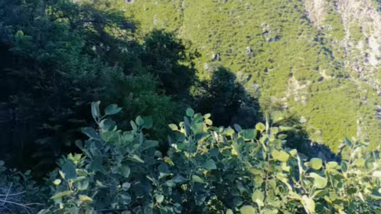 The Beauty of Pakistan Kpk Dir Lower