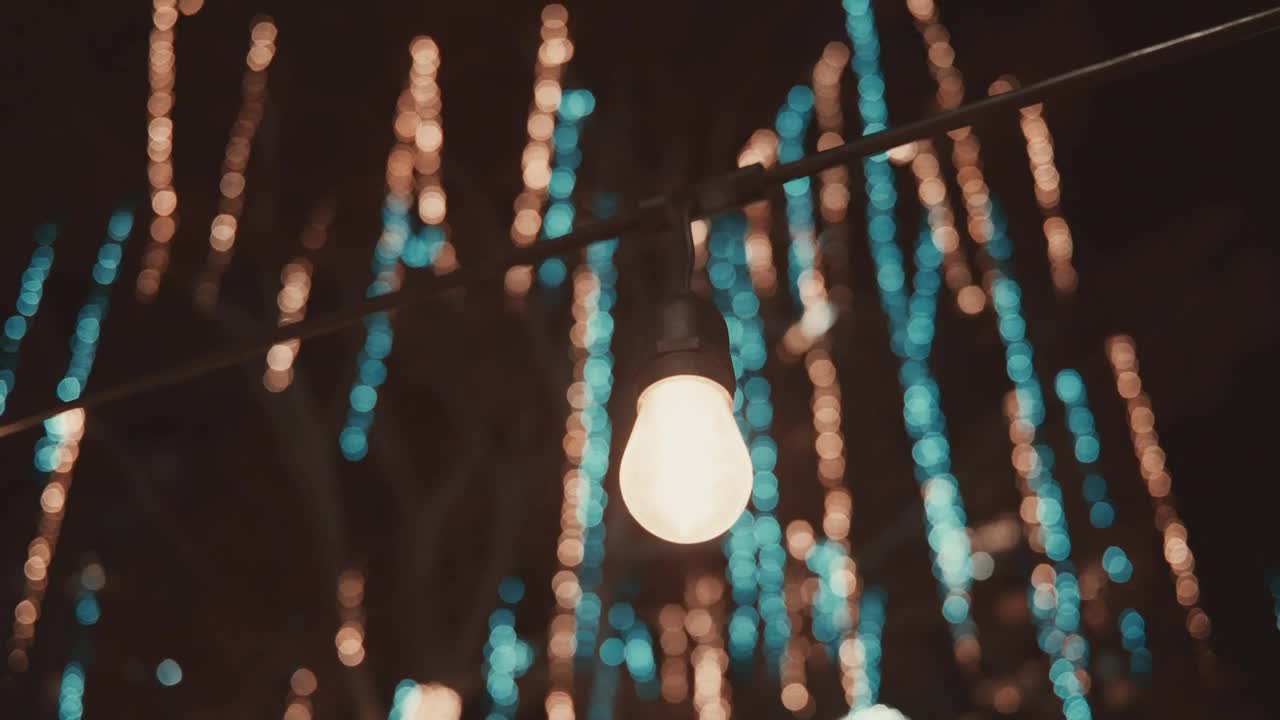 Lights in a Christmas park at night