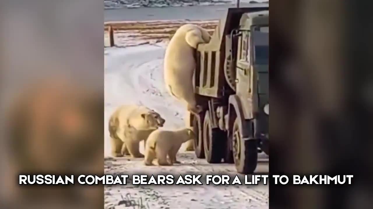 Russian Combat Bears was spotted in a undisclosed location.