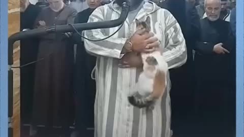 The imam prays and takes care of the cat .