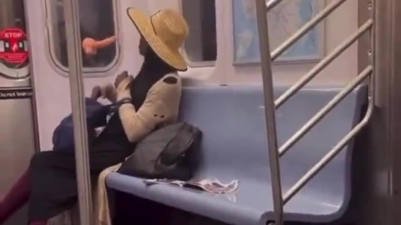 Train Degenerate